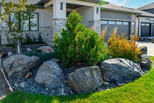 front yard